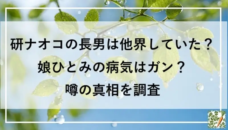 若葉